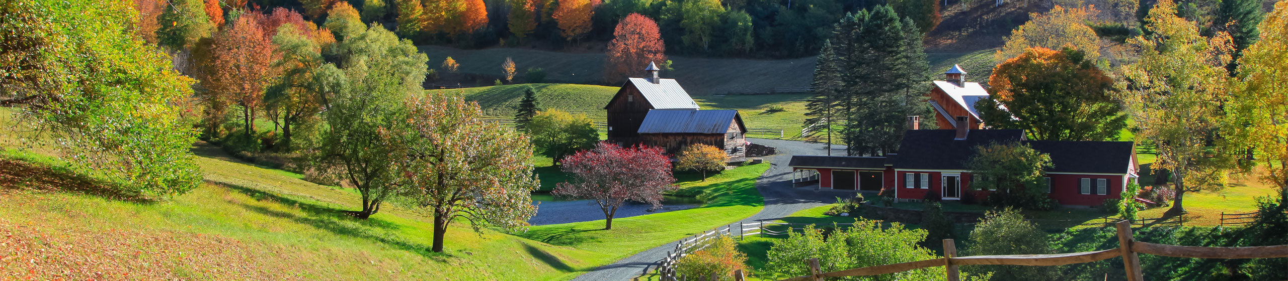 Chandler 4 Corners, located in Manchester, Vermont. A collection of houses pictured among scenic fall trees.