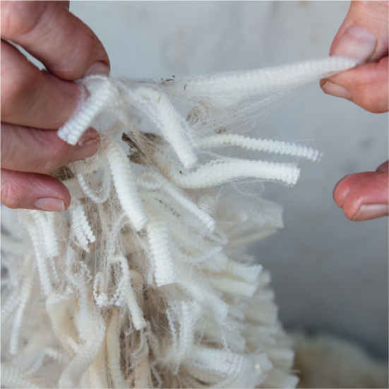 Wool fibers that are used in Chandler 4 Corners products.