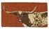 Picture of Longhorn Steer, Picture 1